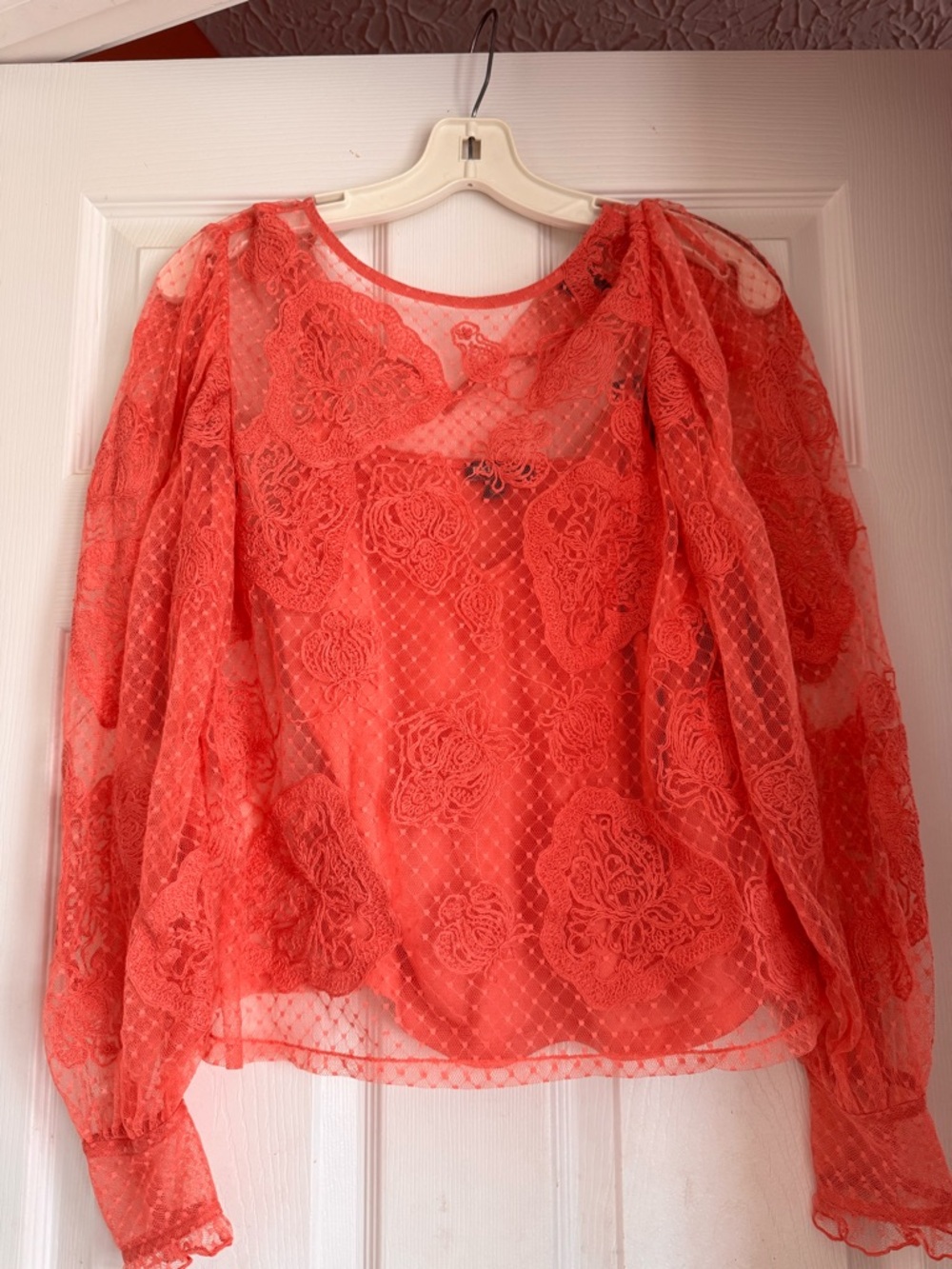 Express Coral Lace Sheer Long-Sleeve Blouse